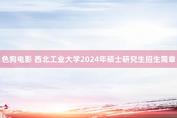 色狗电影 西北工业大学2024年硕士研究生招生简章