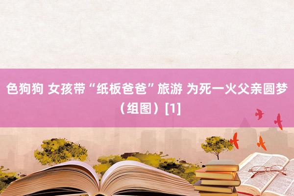 色狗狗 女孩带“纸板爸爸”旅游 为死一火父亲圆梦（组图）[1]